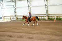 323A Region 17 Arabian Reining Jr Horse Championship