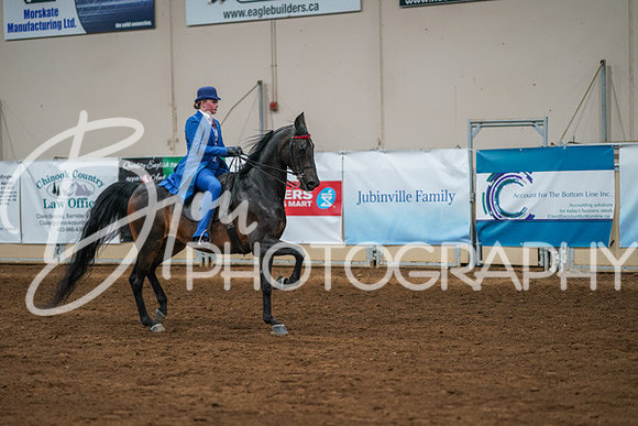 Aurora Show June 8, 2024  - 02610