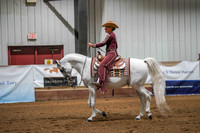 316 Region 17 Arabian Western Pl Ladies/Gents Championship