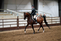 292 Region 17 Hunter Seat Equitation Not To Jump JTR Championship