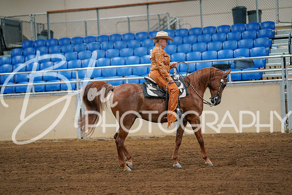 Aurora Show June 6, 2024  - 03804