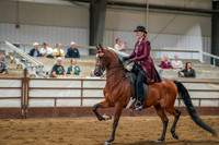 Region 17 July 11, 2025 - 3236