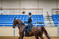 14 ASB ENGLISH COUNTRY PLEASURE, JR. RIDER