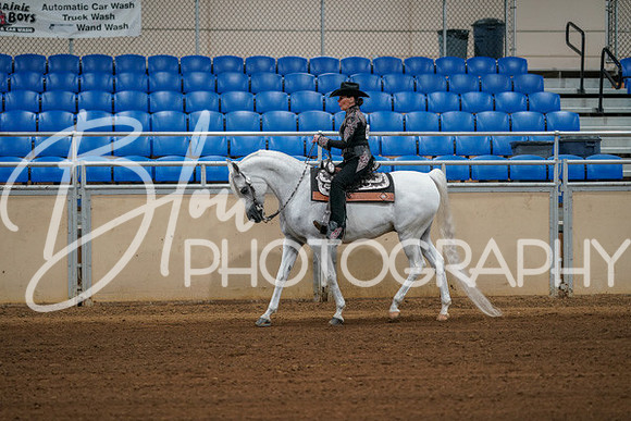 Aurora Show June 8, 2024  - 00439