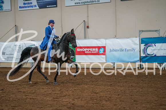 Aurora Show June 8, 2024  - 02609