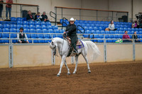 195 ARABIAN Western Pleasure AOTR