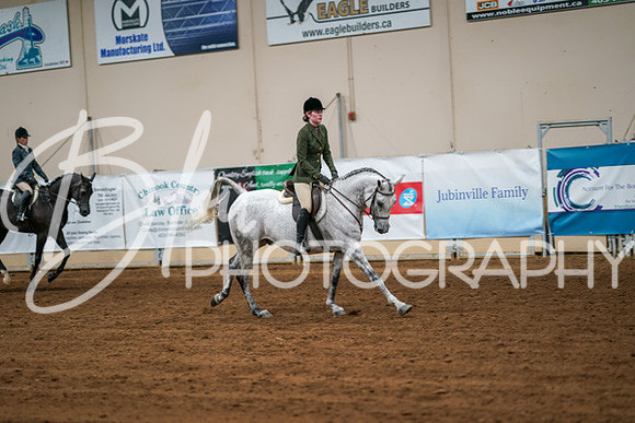 Aurora Show June 6, 2024  - 04255