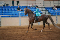257a All Breed English Pleasure Limit Rider