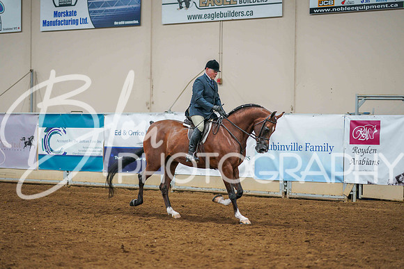 Aurora June 7, 2025 - 1975