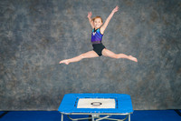 Airdrie Edge Gymnastics Feb 2, 2025 - 0123