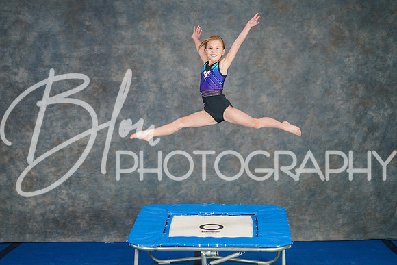 Airdrie Edge Gymnastics Feb 2, 2025 - 0123