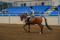 3 ALL BREEDS HUNTER PLEASURE, JR RIDER