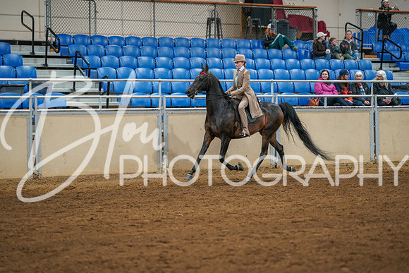 Aurora Show June 8, 2024  - 00977