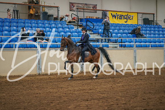 Aurora Show June 8, 2024  - 02507