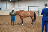 Aurora June 7, 2025 - 0410