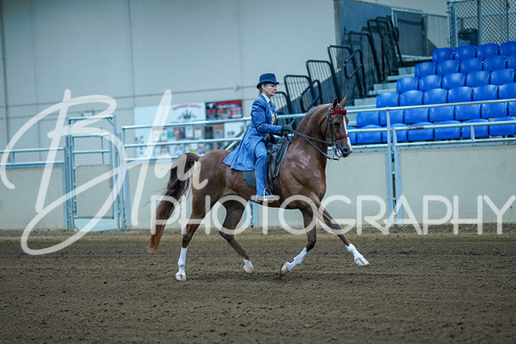 Aurora Show June 8, 2024  - 00379