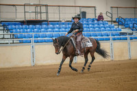 210 HA/AA Reining ATR