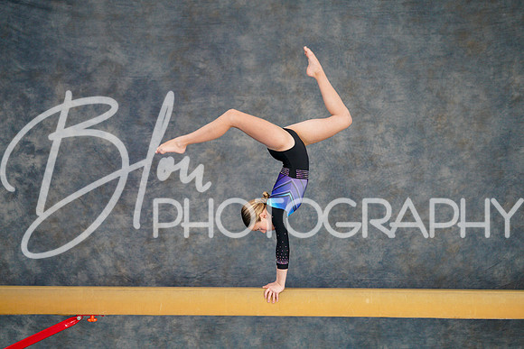 Airdrie Edge Gymnastics Feb 2, 2025 - 0155