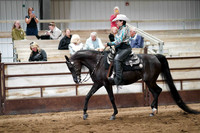294 Region 17 HA/AA Western Pl ATR Choice/Elite Championship