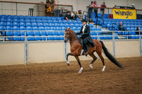 Aurora Show June 6, 2024  - 04763