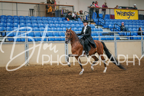 Aurora Show June 6, 2024  - 04763