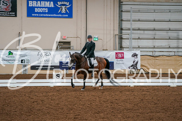 Aurora Show June 6, 2024  - 00931
