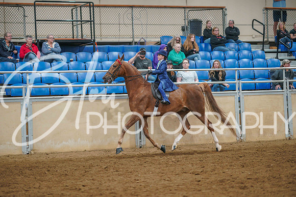 Aurora June 7, 2025 - 1821