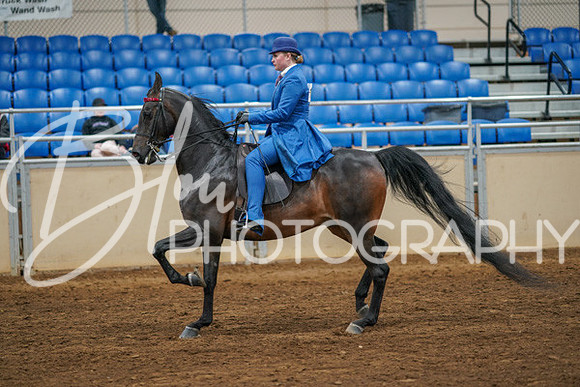 Aurora Show June 8, 2024  - 02544