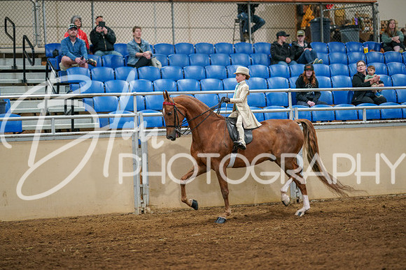 Aurora Show June 6, 2024  - 03872