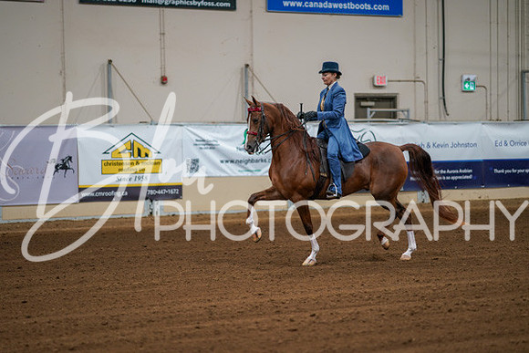 Aurora Show June 8, 2024  - 00351