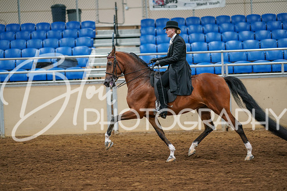 Aurora Show June 6, 2024  - 04770