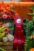 Fall Classic Sept 27, 2024 - 0035