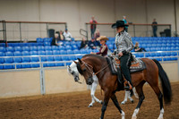 134 - ALL BREED Western Pleasure Open
