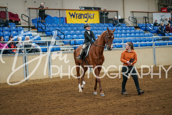 Aurora Show June 8, 2024  - 00877
