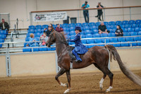 256 ALL BREED Walk/Trot/Jog Equitation Stake 11 & Under