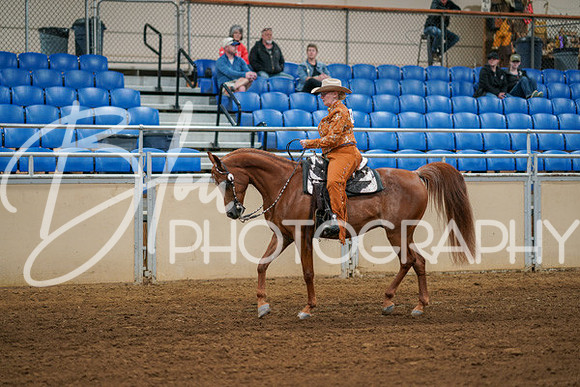 Aurora Show June 6, 2024  - 03768