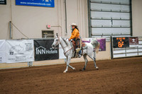 197 ARABIAN Ranch Horse Rail Pleasure ATR