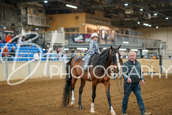 Aurora Show June 8, 2024  - 00870