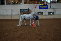 Aurora June 5, 2025 - 2460