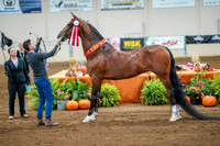Fall Classic Sept 28, 2024 - 0269