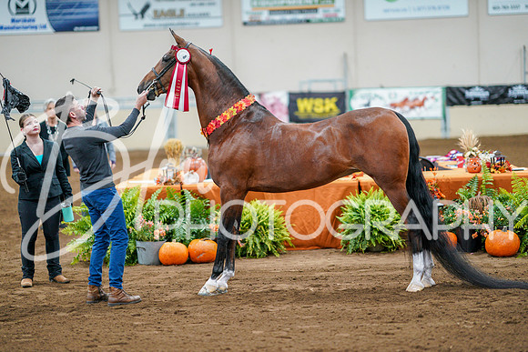Fall Classic Sept 28, 2024 - 0269