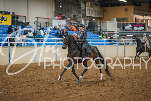 Aurora Show June 8, 2024  - 00967