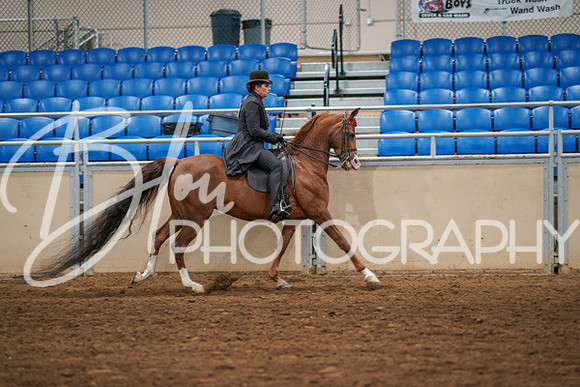 Aurora Show June 6, 2024  - 04806