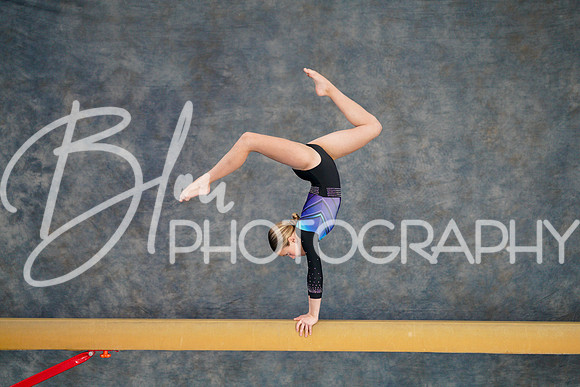 Airdrie Edge Gymnastics Feb 2, 2025 - 0156