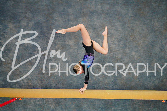 Airdrie Edge Gymnastics Feb 2, 2025 - 0165