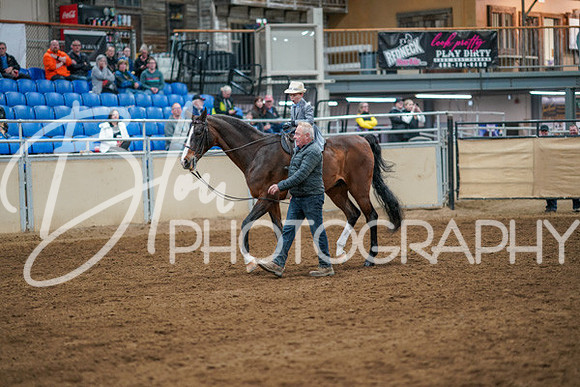Aurora Show June 8, 2024  - 00889