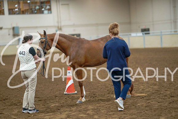 Aurora June 5, 2025 - 2529