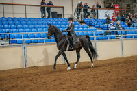 53 - American Saddlebred English Country Pleasure, Open