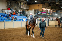 Aurora Show June 8, 2024  - 00866