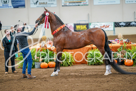 Fall Classic Sept 28, 2024 - 0271
